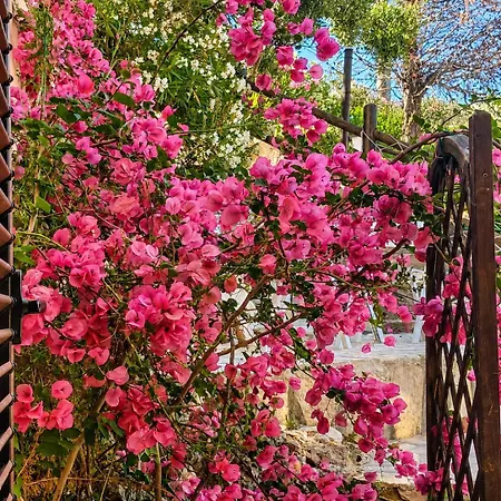 Apartamento Sapore Di Mare - Vista Mare E Giardino Privato